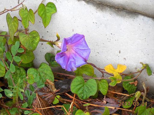 ���m����