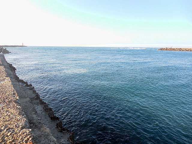 �l���΂́u���؂�v