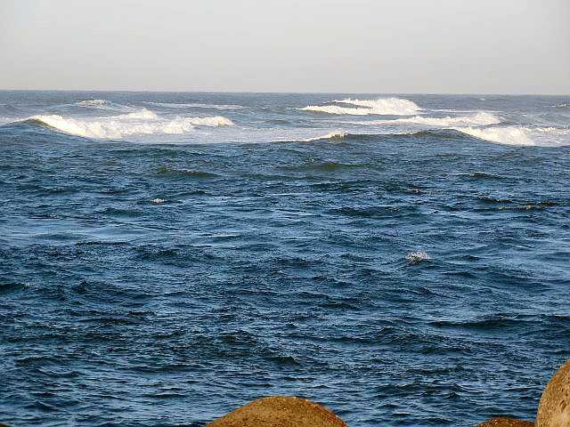 �l���΂́u���؂�v