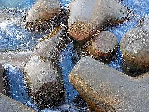 �l���΂́u���؂�v