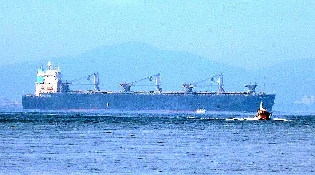 木材運搬船(木材専用船)