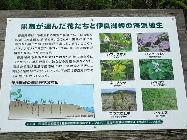 恋路ヶ浜の側の伊良湖岬遊歩道の入り口
