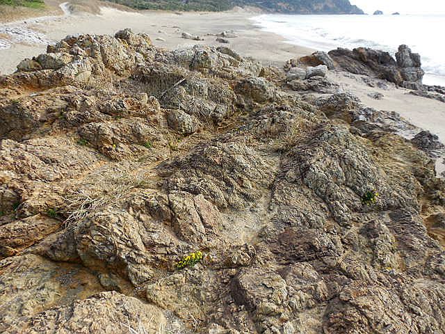 �ɗǌΖ��̊�