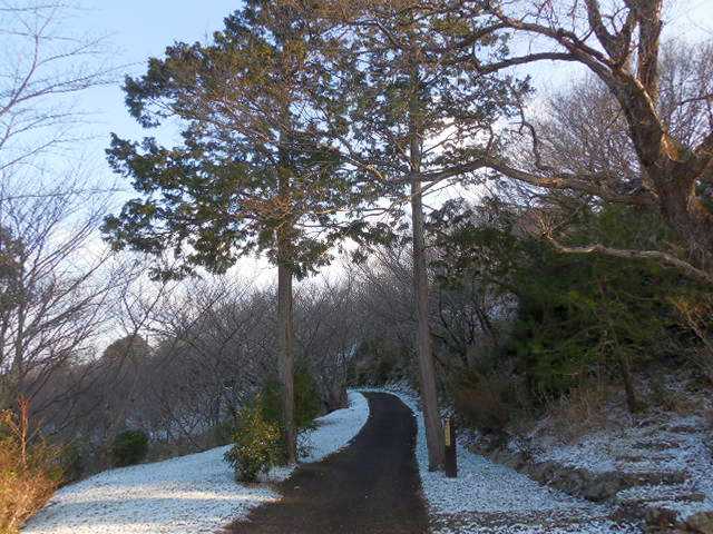 �ԂŖ��ʑ���