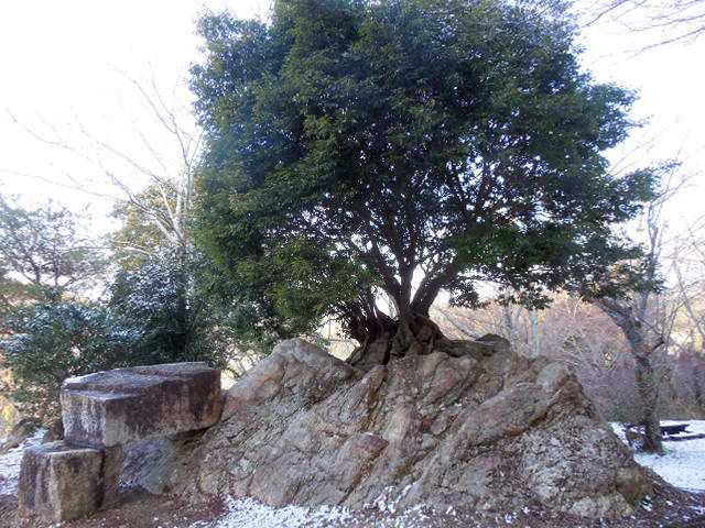 �ԂŖ��ʑ���