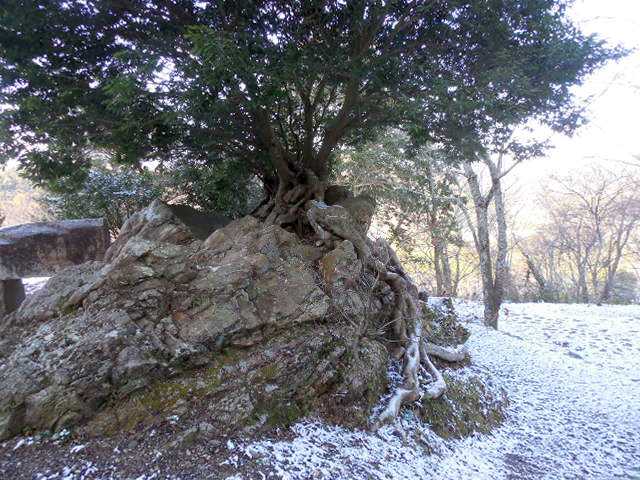 �ԂŖ��ʑ���