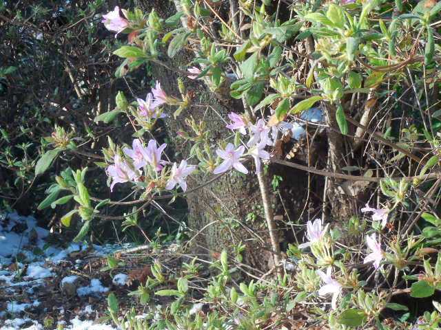 �ԂŖ��ʑ���