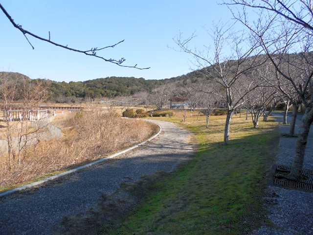 ���]�ԂŖ��ʑ���