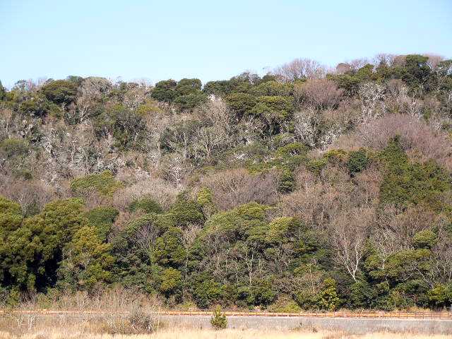 ���]�ԂŖ��ʑ���