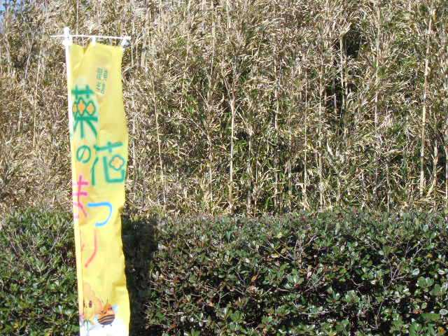 ���]�ԂŖ��ʑ���