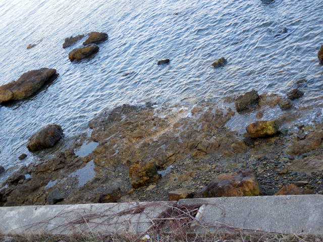 ���]�ԂŖ��ʑ���