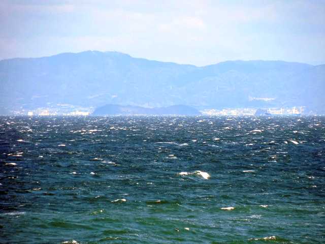 ���]�ԂŖ��ʑ���