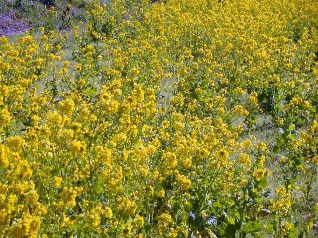 ���]�ԂŖ��ʑ���