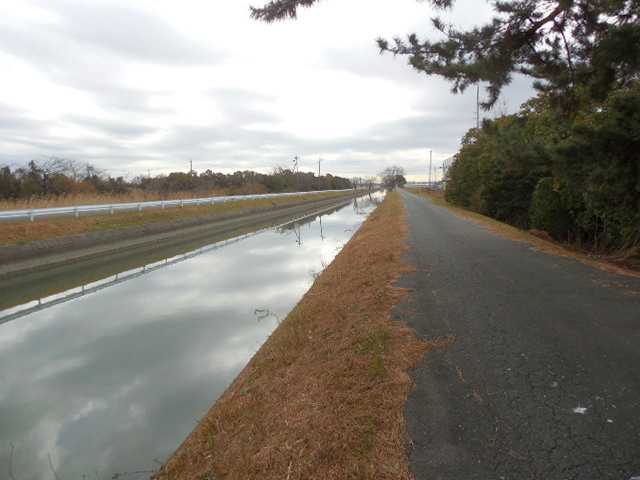 ���]�ԂŖ��ʑ���