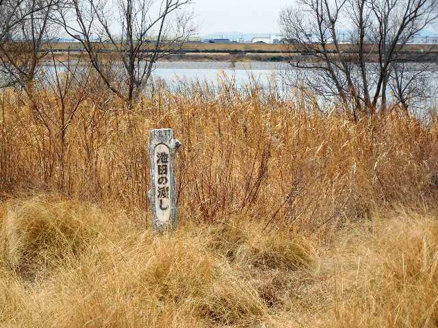 ���]�ԂŖ��ʑ���