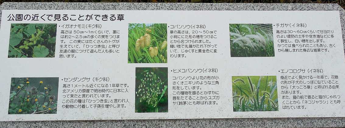 ���]�ԂŖ��ʑ���