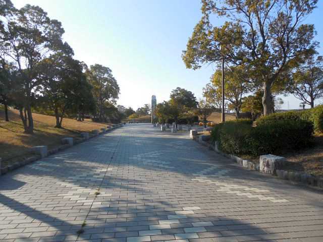 ���]�ԂŖ��ʑ���