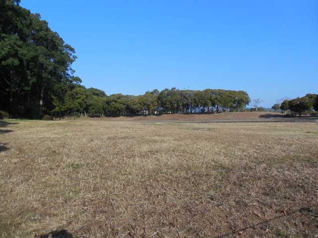 ���]�ԂŖ��ʑ���