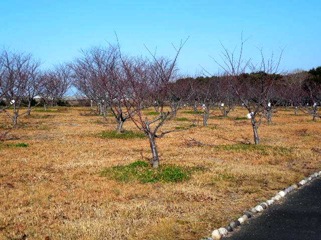 ���]�ԂŖ��ʑ���