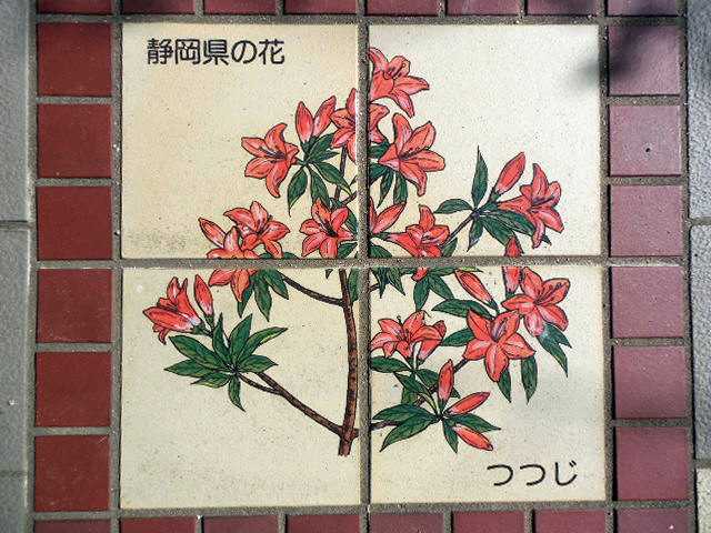 ���]�ԂŖ��ʑ���