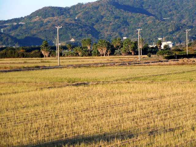 自転車で無駄走り