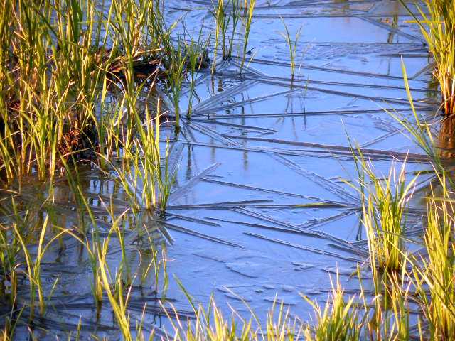 自転車で無駄走り
