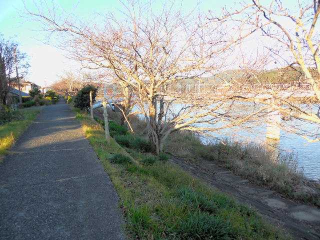 自転車で無駄走り