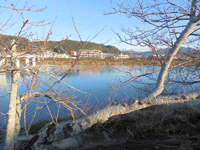 自転車で無駄走り