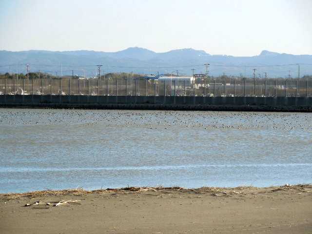 自転車で無駄走り