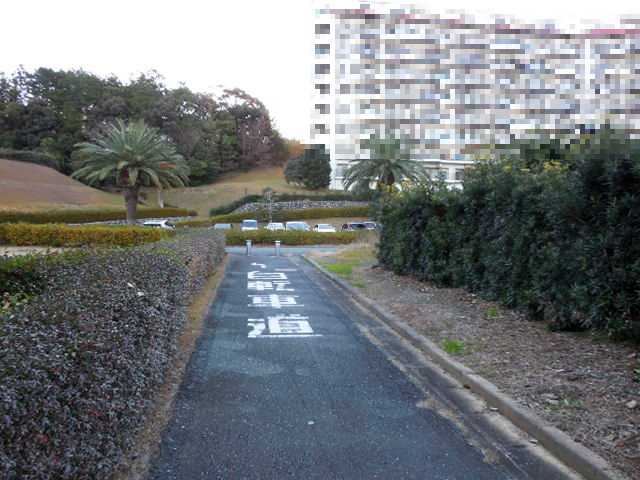 自転車で無駄走り