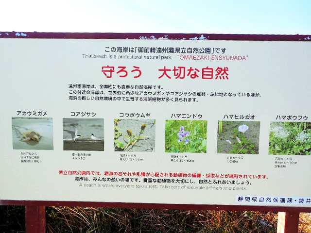 ���]�ԂŖ��ʑ���