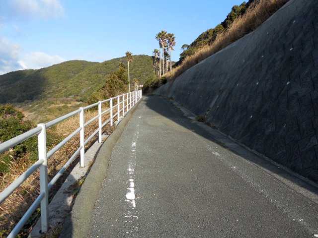 伊良湖ビューホテルの西側のサイクリングロード