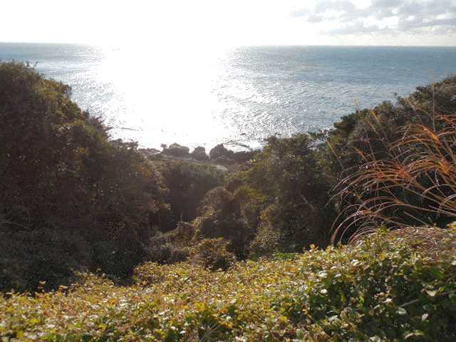 自転車で無駄走り