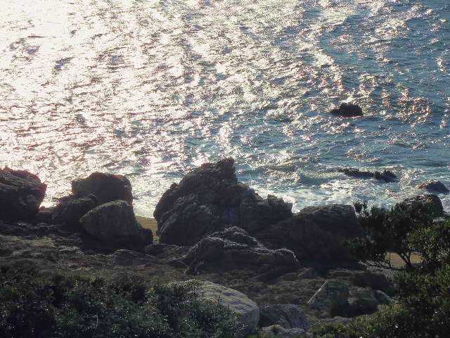 自転車で無駄走り