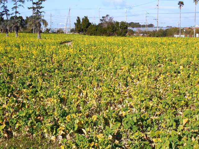 自転車で無駄走り