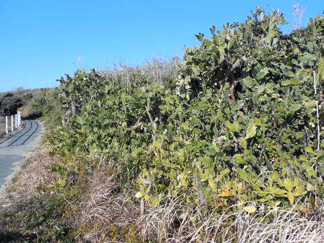 自転車で無駄走り