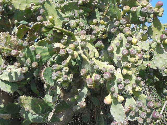 自転車で無駄走り