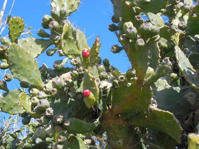 自転車で無駄走り