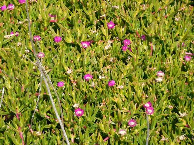 自転車で無駄走り