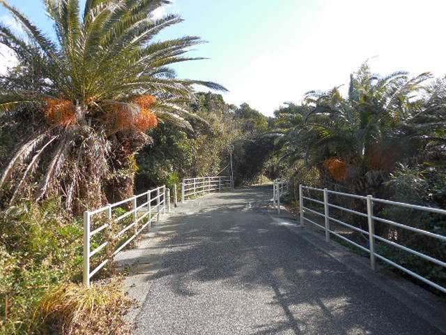 自転車で無駄走り