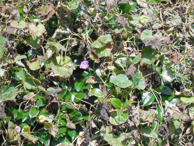 自転車で無駄走り