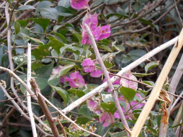 ���]�ԂŖ��ʑ���