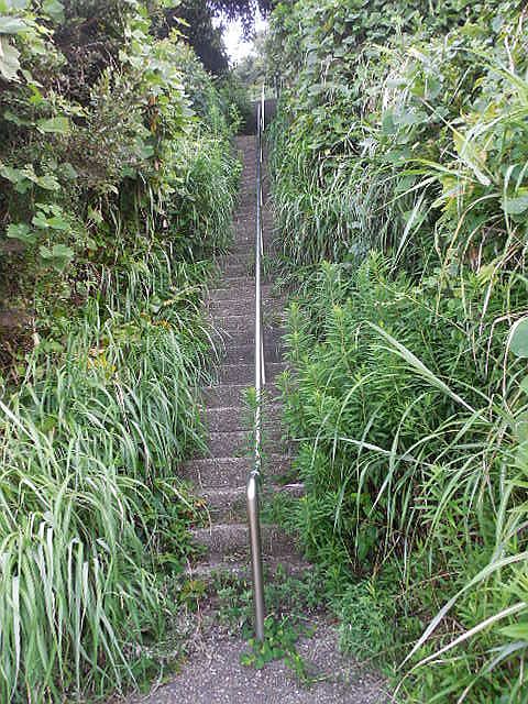伊良湖岬灯台の東側の山の斜面の階段