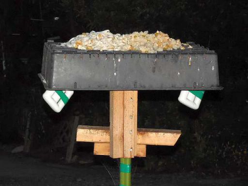 野鳥の餌台
