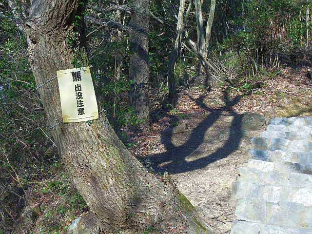 �����炵�̗ǂ���