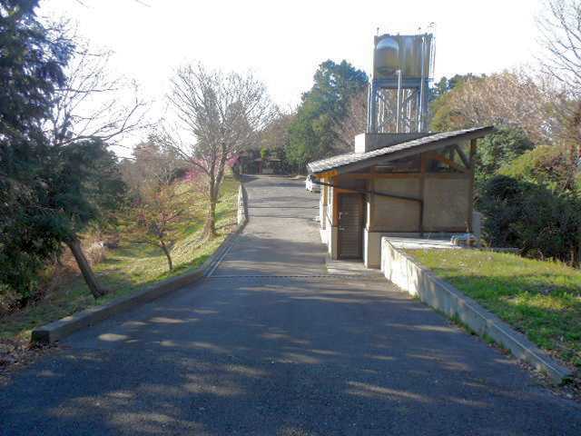 �����炵�̗ǂ���