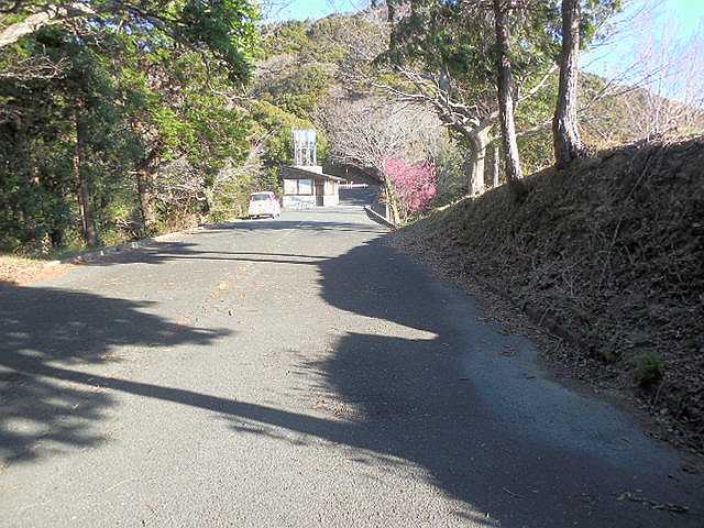 �����炵�̗ǂ���