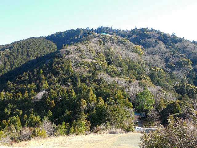 �����炵�̗ǂ���