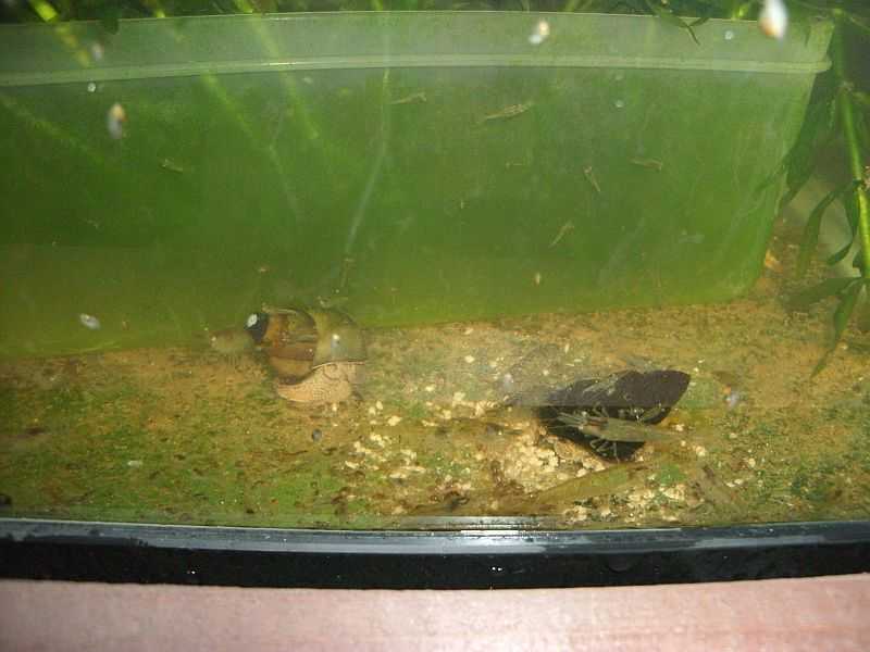 �~�i�~�k�}�G�r