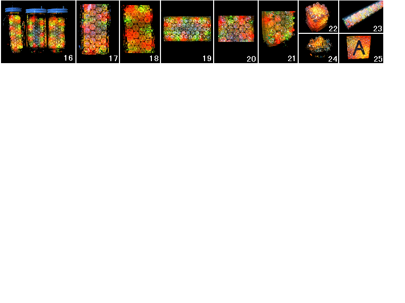 ���������̏Ɩ��̎���i�̎ʐ^�@(45,3KB)